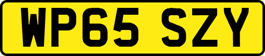 WP65SZY