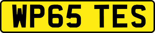 WP65TES