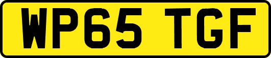 WP65TGF