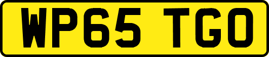 WP65TGO
