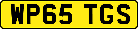 WP65TGS