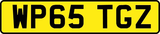 WP65TGZ