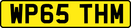 WP65THM