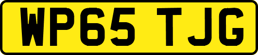WP65TJG