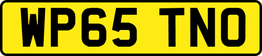 WP65TNO