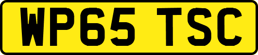 WP65TSC