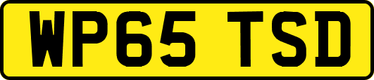WP65TSD
