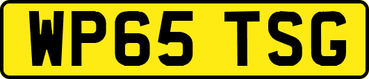 WP65TSG