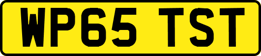 WP65TST