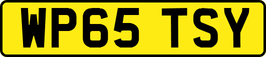 WP65TSY