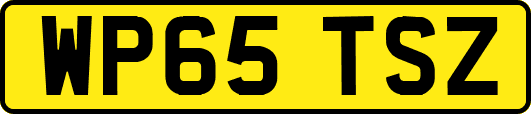 WP65TSZ
