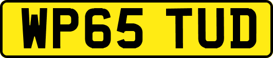WP65TUD