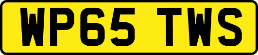 WP65TWS