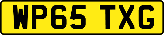 WP65TXG