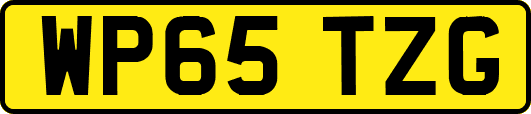 WP65TZG