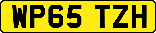 WP65TZH