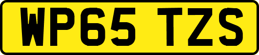 WP65TZS