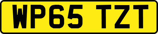 WP65TZT