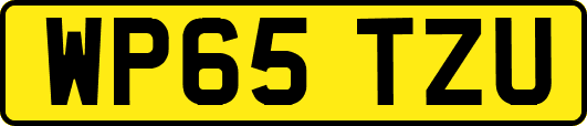 WP65TZU