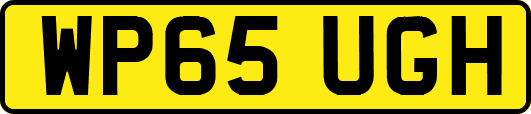 WP65UGH
