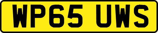 WP65UWS