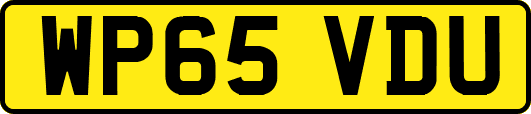 WP65VDU
