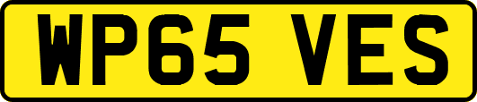 WP65VES