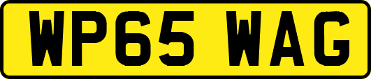 WP65WAG