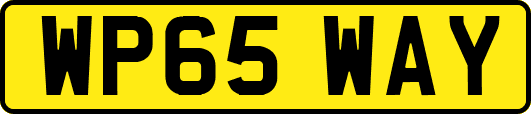 WP65WAY