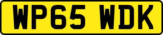 WP65WDK