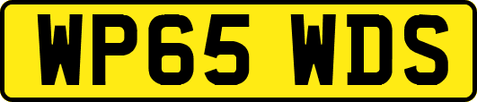 WP65WDS