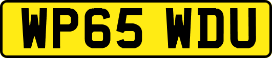 WP65WDU