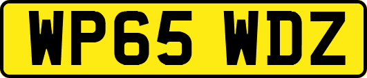 WP65WDZ