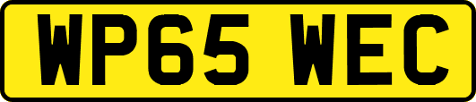 WP65WEC
