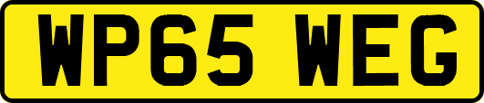 WP65WEG