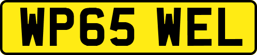 WP65WEL