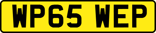 WP65WEP