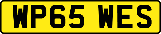 WP65WES