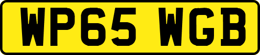WP65WGB