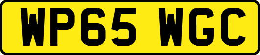 WP65WGC