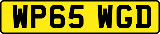 WP65WGD