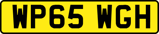 WP65WGH