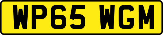 WP65WGM
