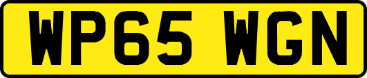 WP65WGN