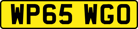 WP65WGO