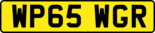 WP65WGR
