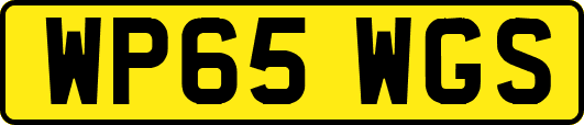 WP65WGS