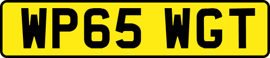 WP65WGT