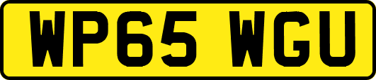 WP65WGU