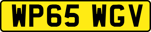 WP65WGV